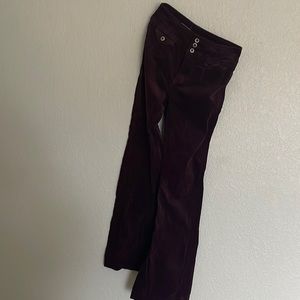 Pilcro High Rise Trouser bootcut